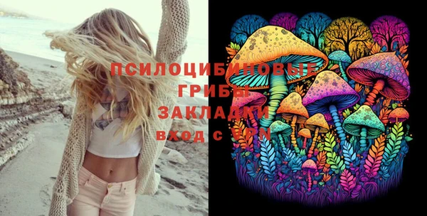 ешки Алексин