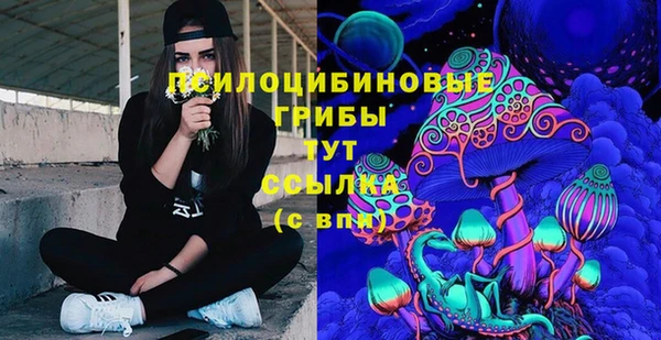 крисы Алексеевка