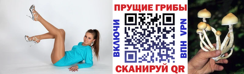 OMG зеркало  Кострома  Галлюциногенные грибы мицелий 